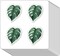 Palm Tree Wall Decals Wall Stickers Vinyl Peel and Stick Removable Decal